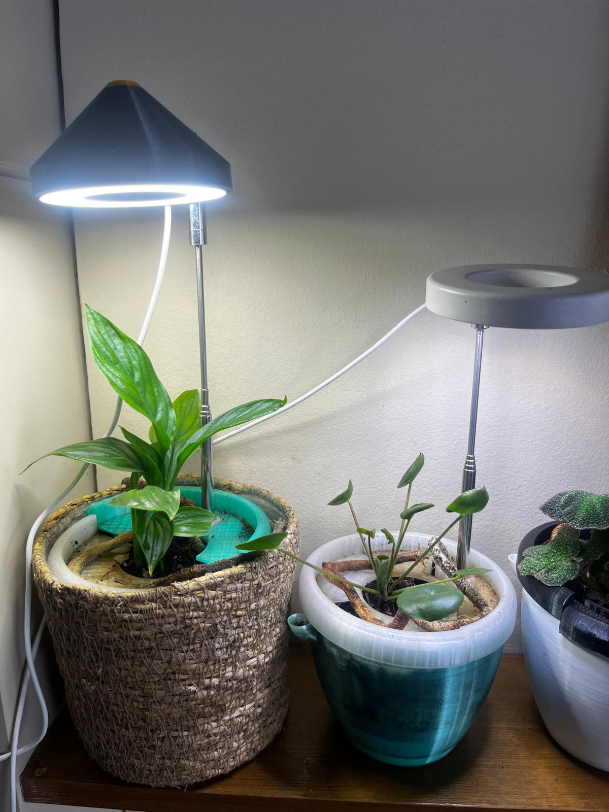 Macetas pequeñas artesanales con plantas pequeñas sobre estantería de madera